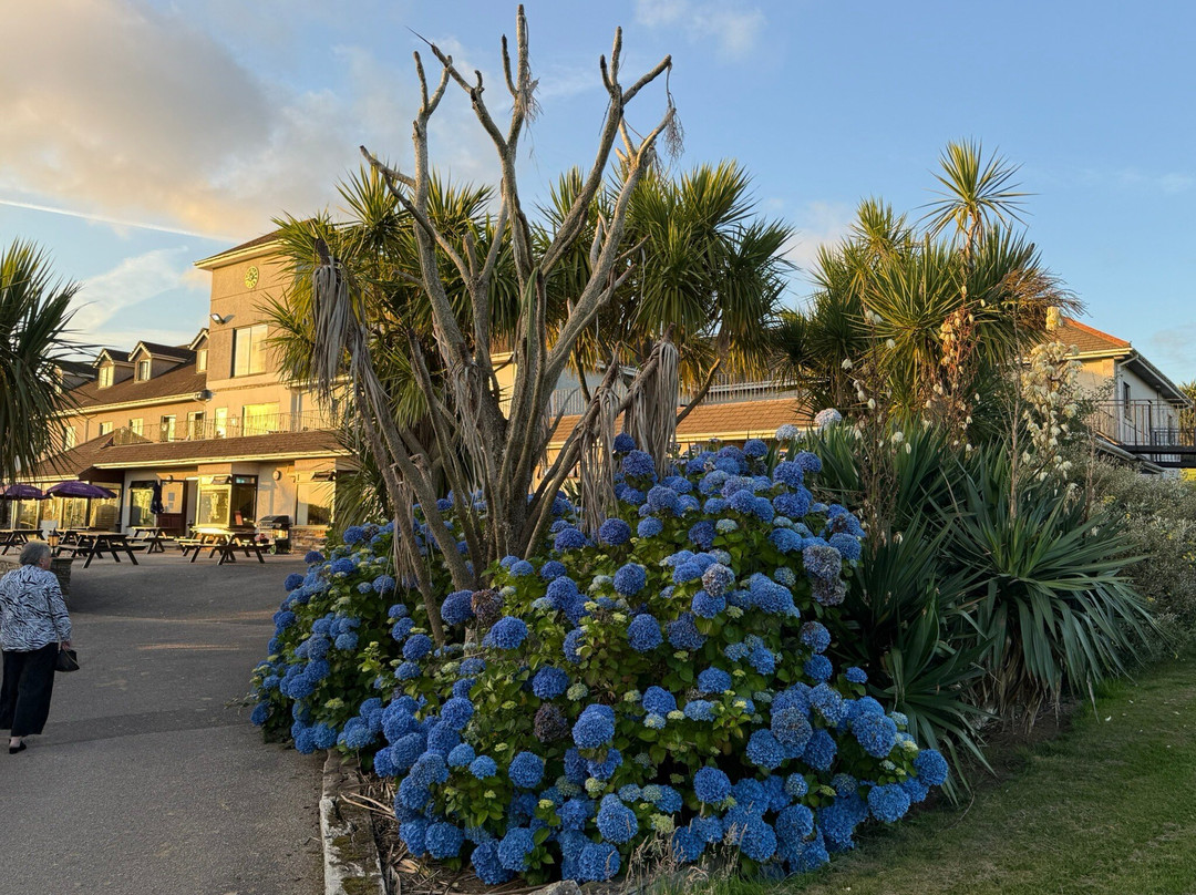 Bowood Park Hotel & Golf Club主图