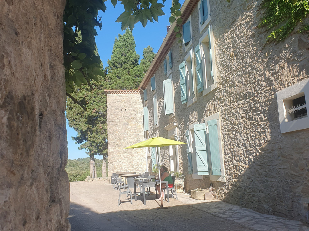 Domaine St Andrieu主图