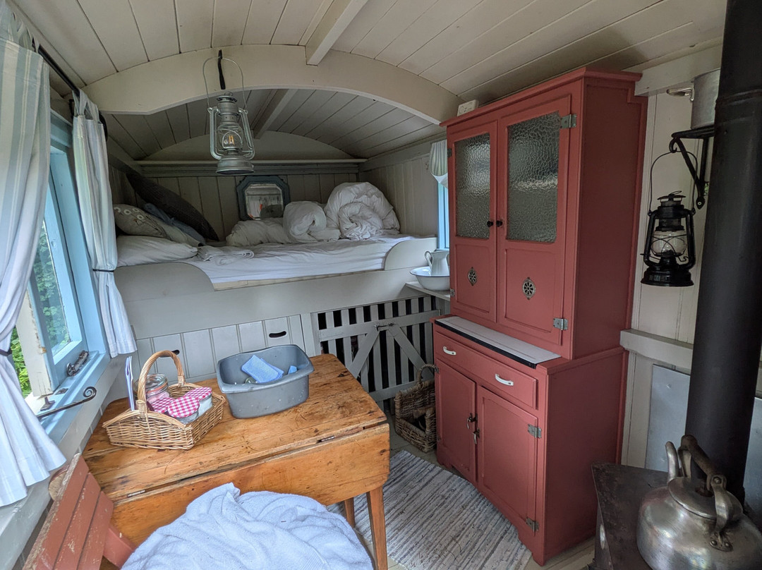 Glamping At Wallops Wood主图