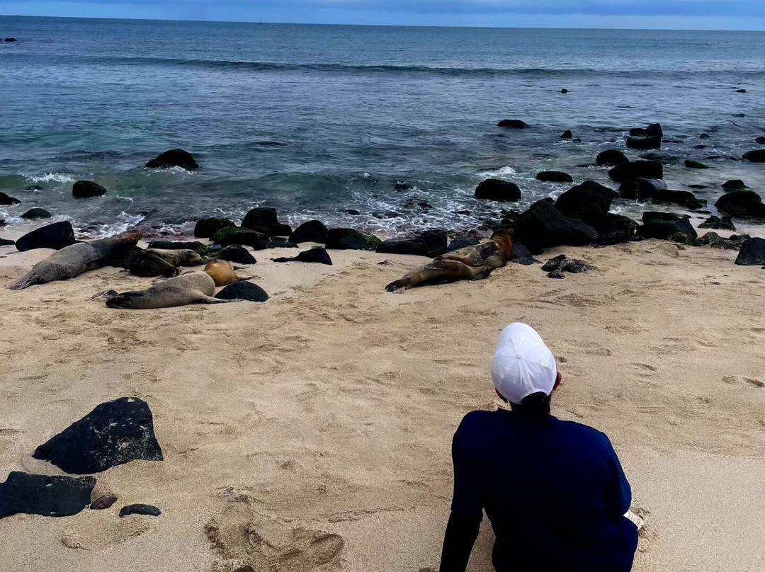 Playa Punta Carola-圣克里斯托瓦尔必去景点