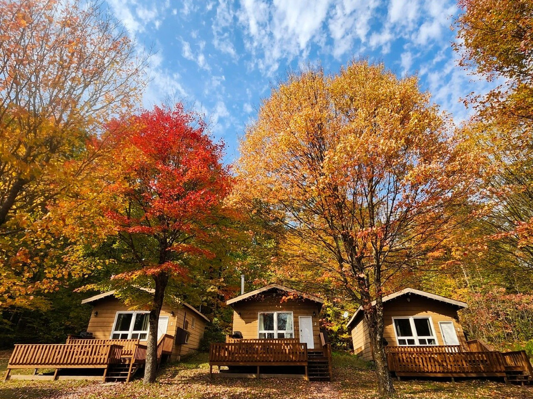 Dorset酒店住宿-Sandy Lane Resort