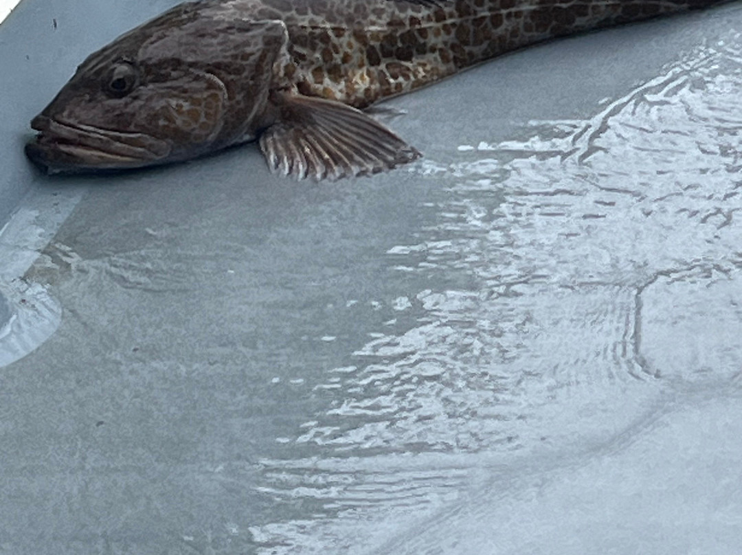 Tornado Fishing Charters-Westport必去景点