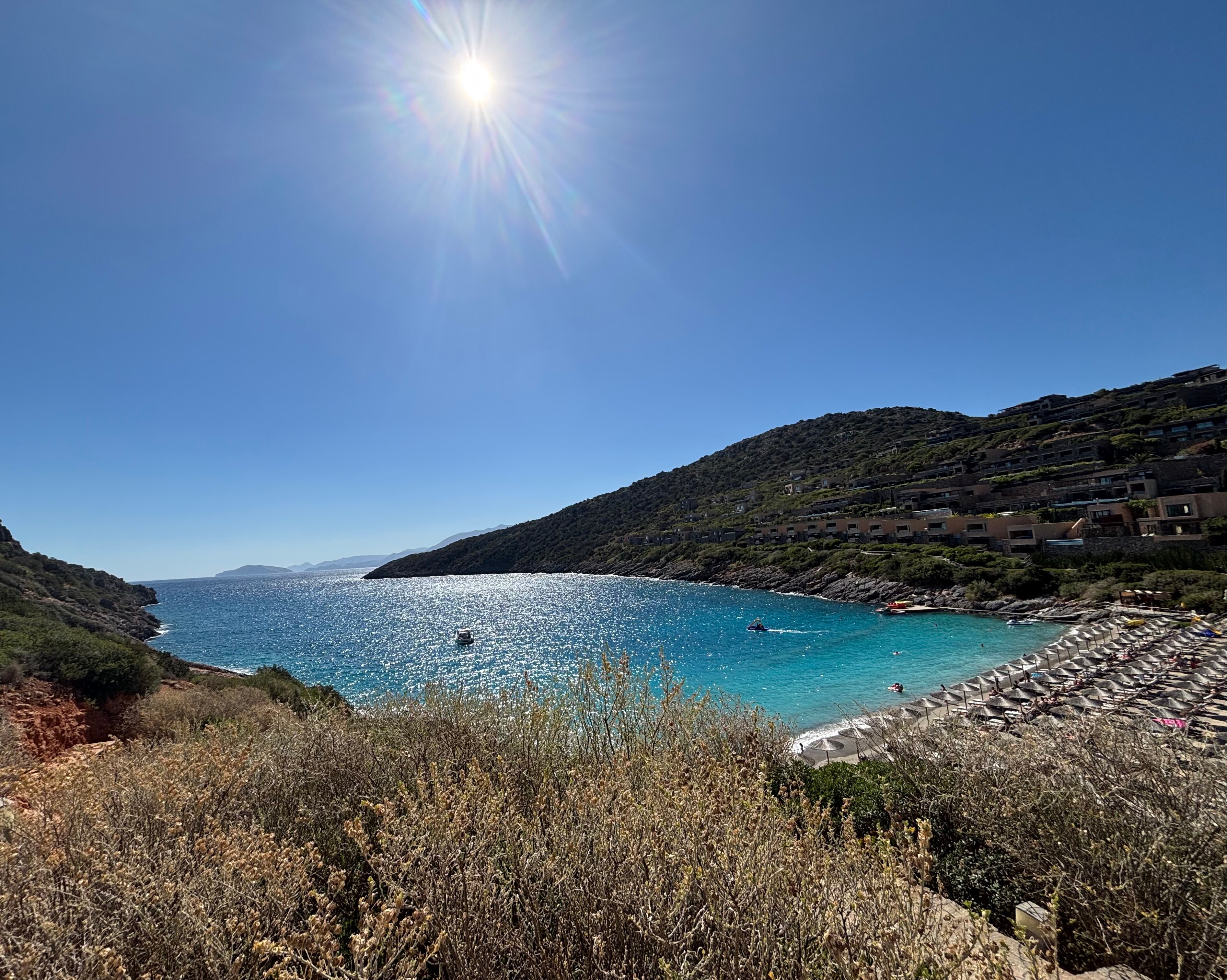 Daios Cove-官方