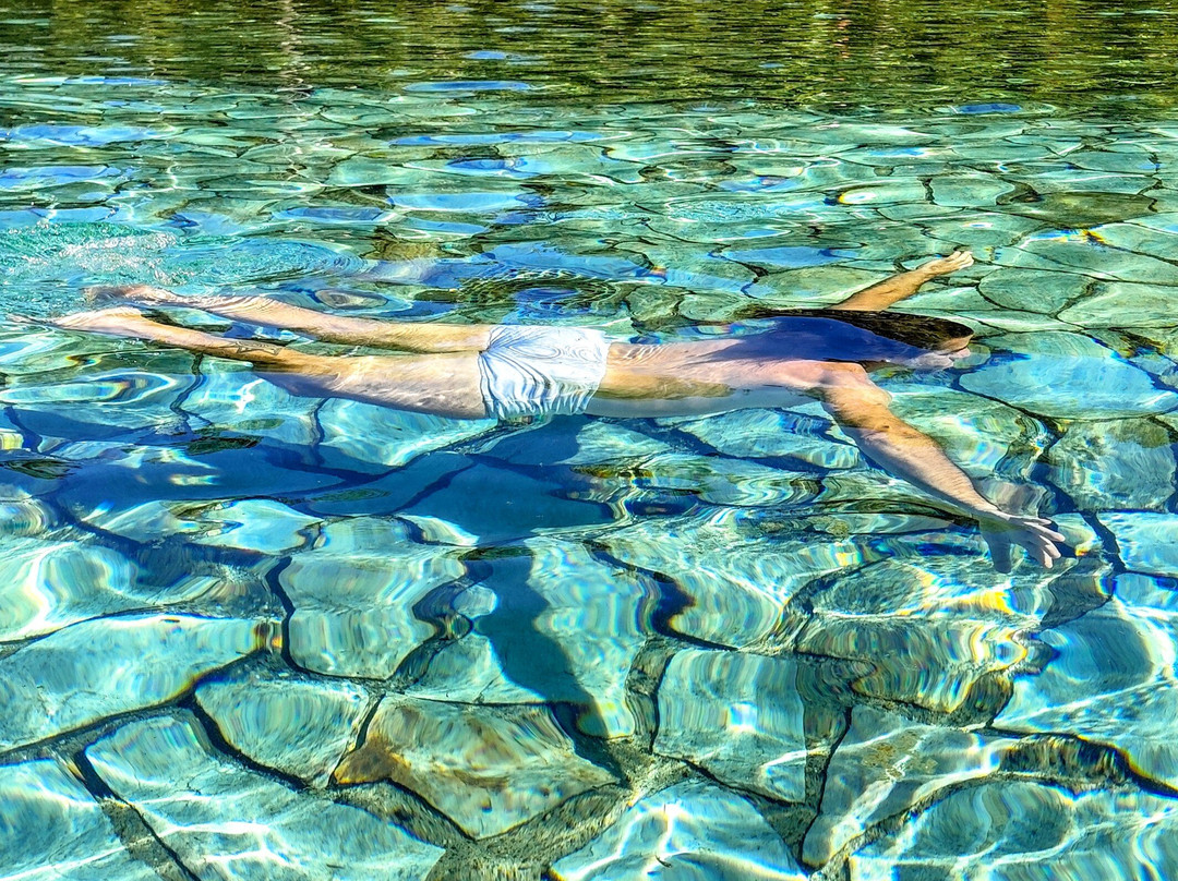 巴西利亚国家公园 (Agua Mineral)-巴西利亚必去景点