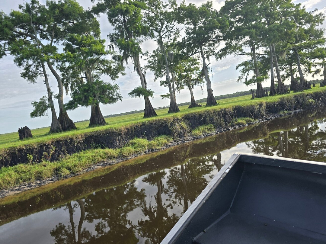 Backwoods Airboat Adventures-Christmas必去景点