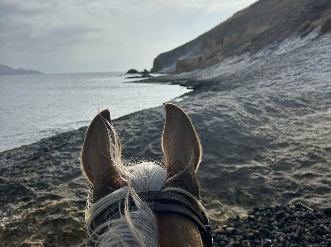 Cabacci Horse Trails-圣何塞必去景点