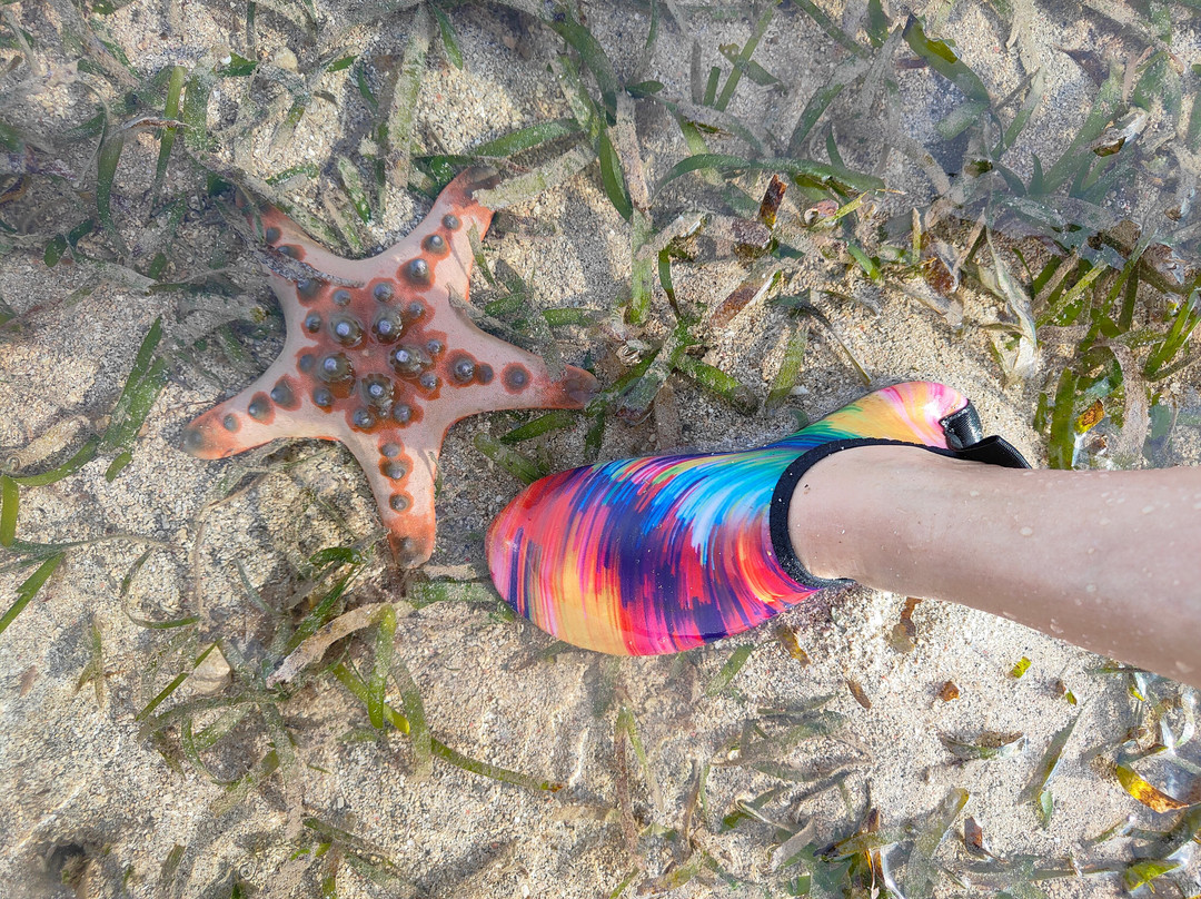 Lombok Picnic-Batu Layar必去景点