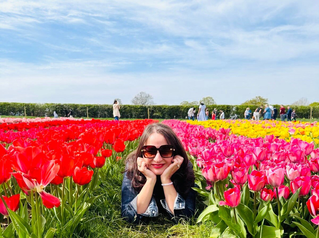 Tulleys Tulip Garden - Warwickshire-沃里克必去景点