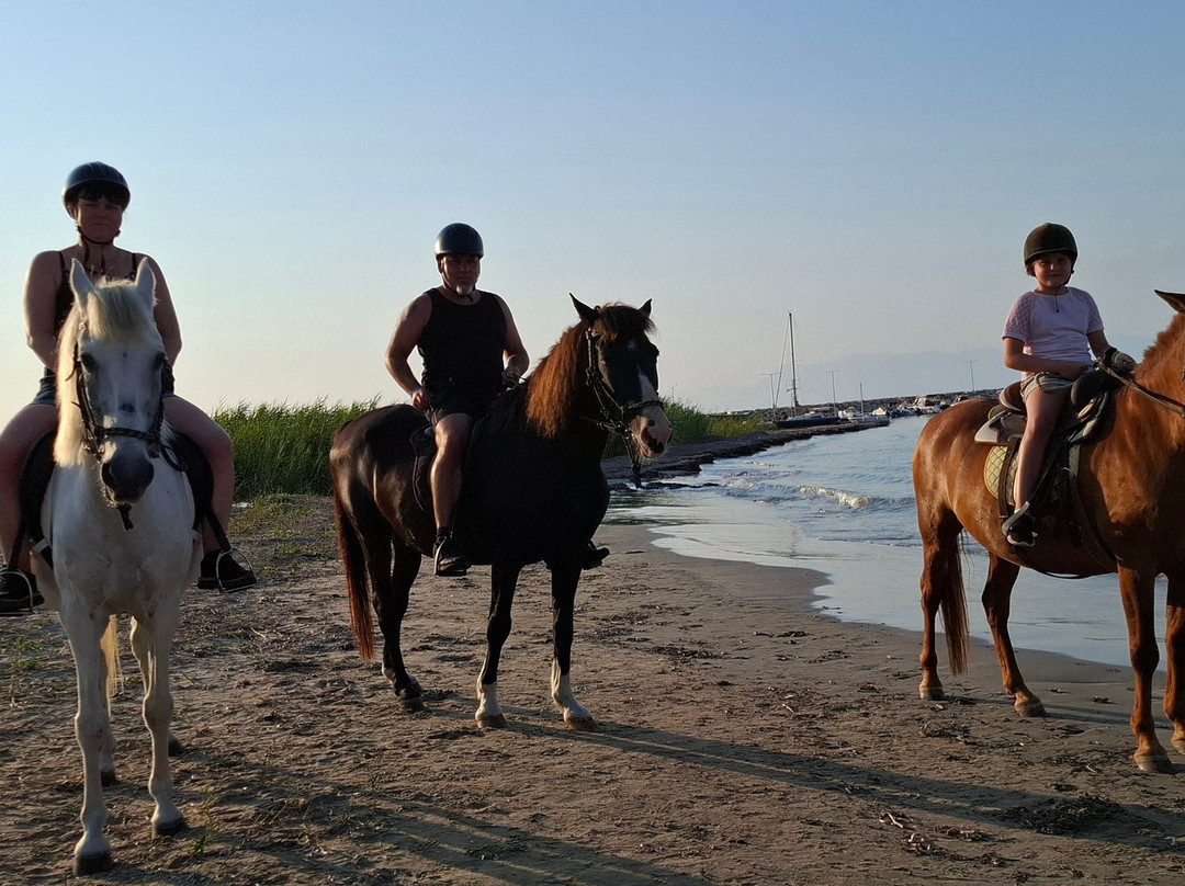 Angel's Horses-Roda必去景点