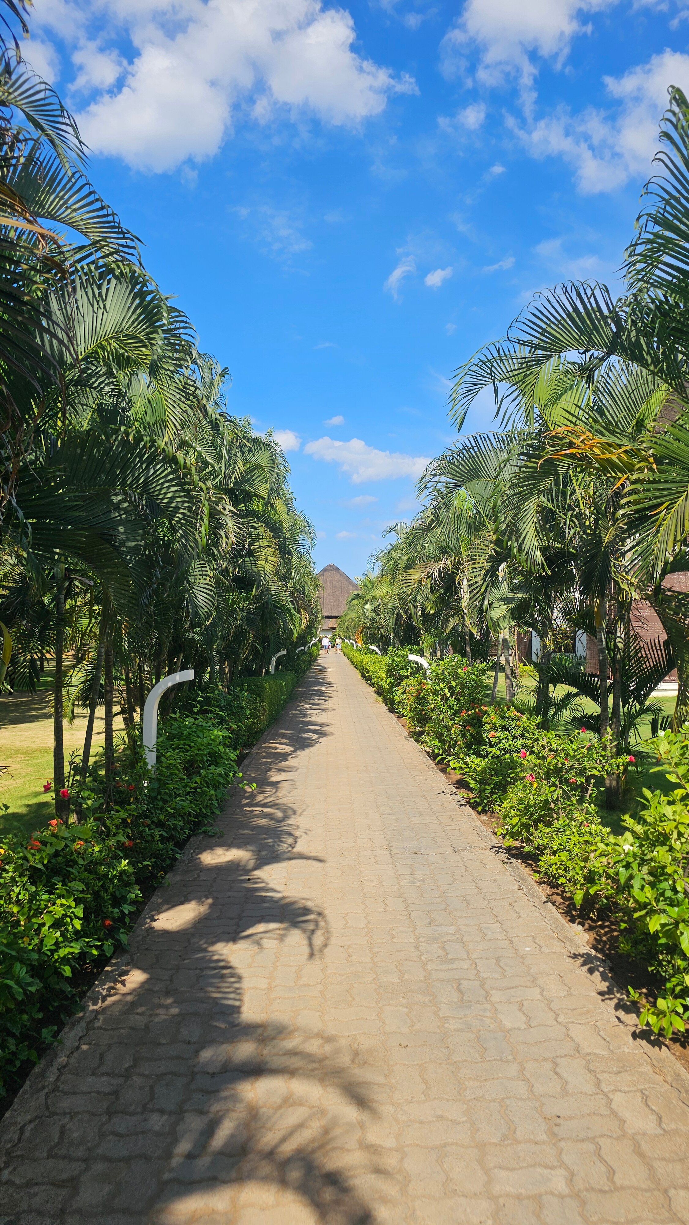 Le Pondy Beach Resort-官方