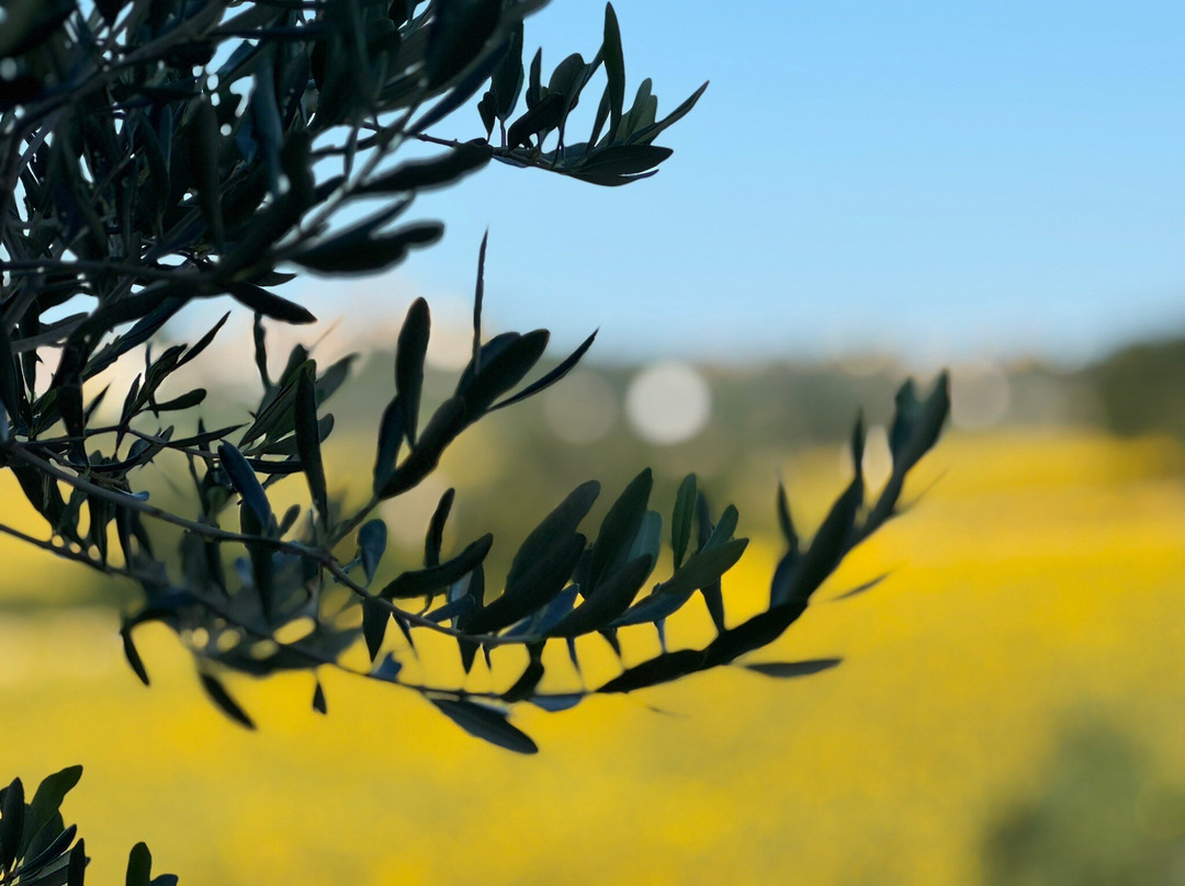 Filodivino Wine Resort & SPA主图