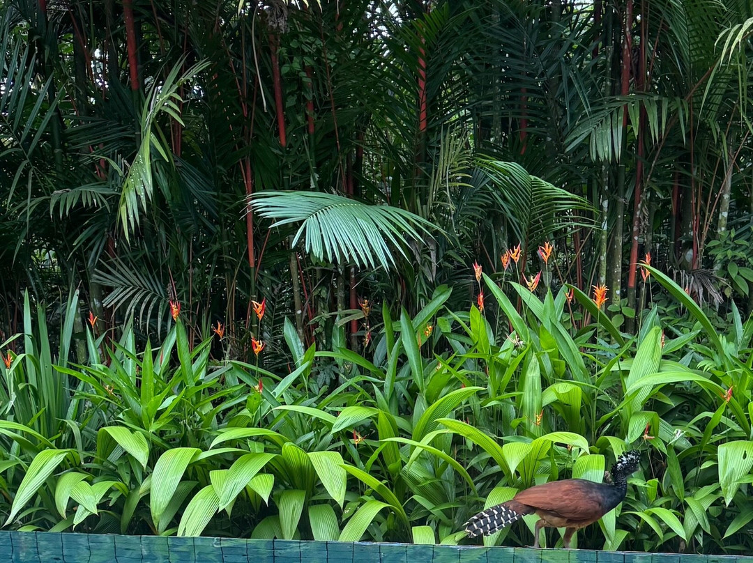 纳雅拉泉酒店主图