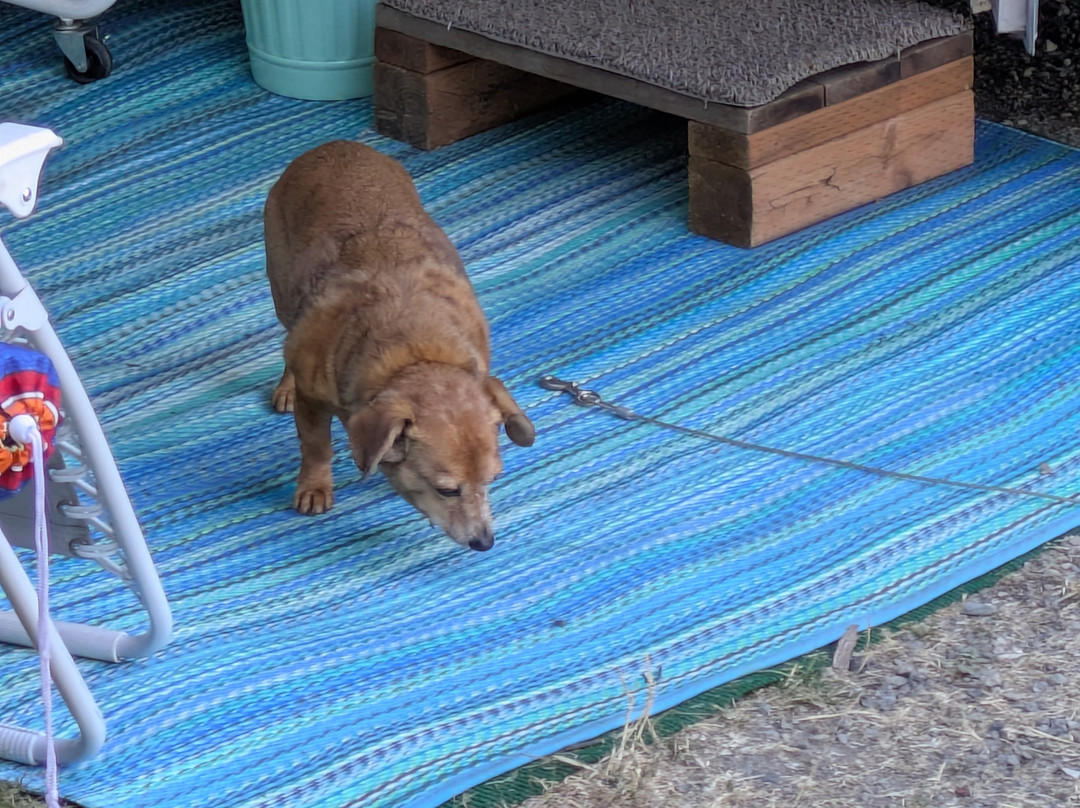 Fay Bainbridge Park-班布里奇岛必去景点