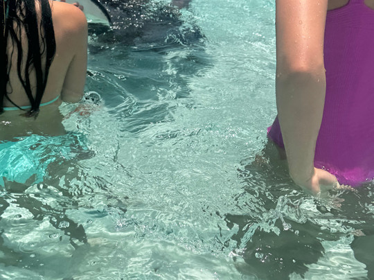 Get Bent Charters-乔治城必去景点