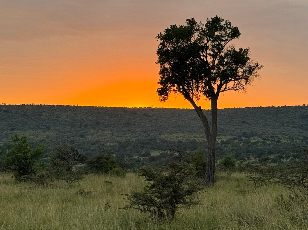 Safaris By Max-内罗毕必去景点