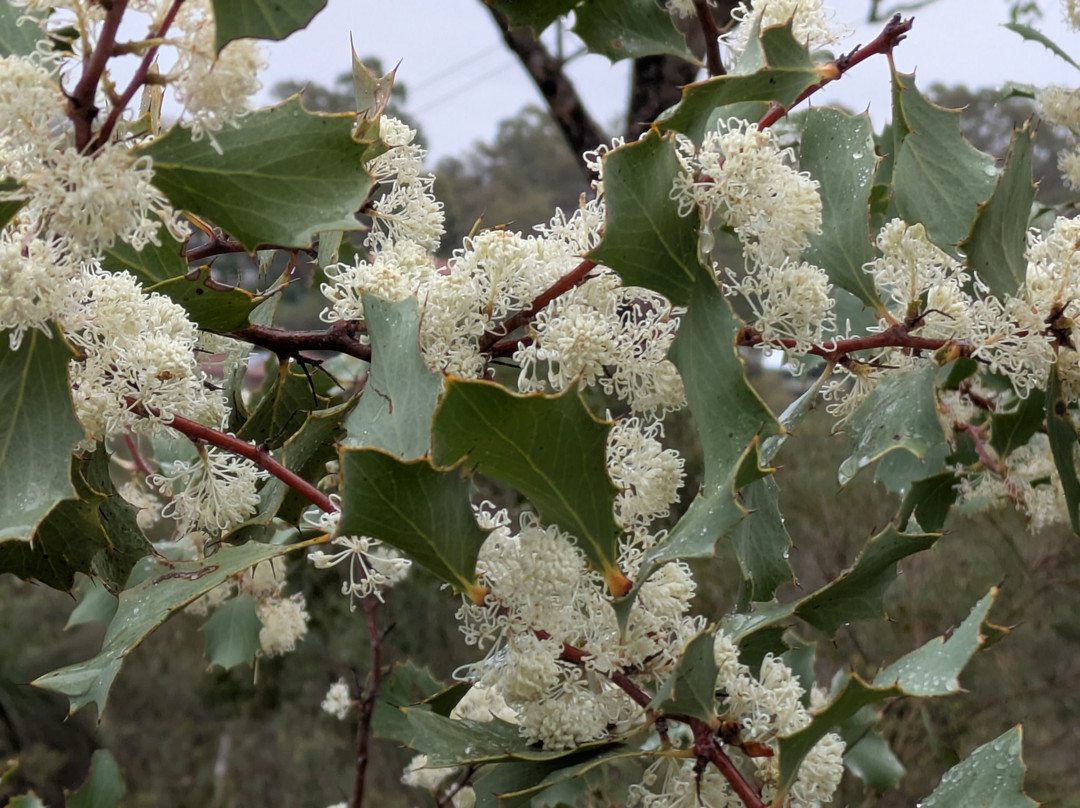 Adventurous Women-珀斯必去景点