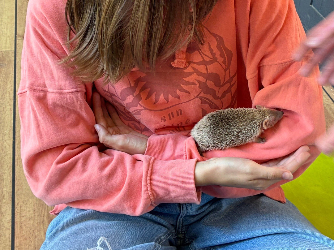 Really Wild Planet-比迪福德必去景点