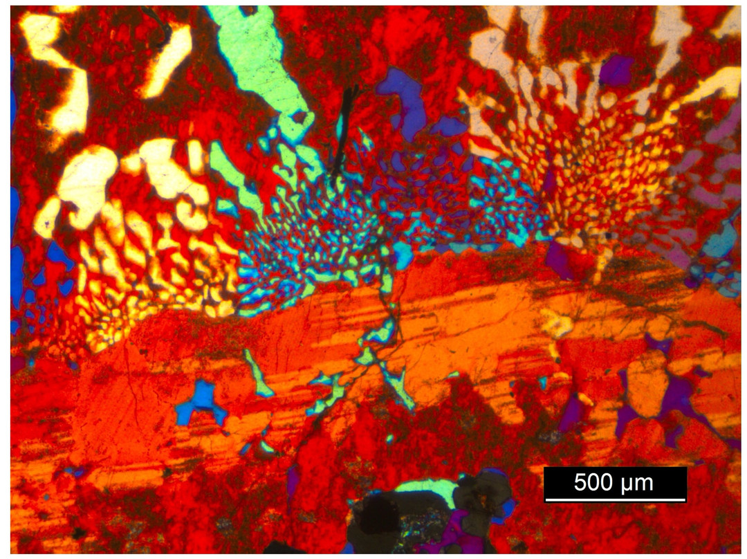 Geo-Museum Zurholt -  Rocks and Fossils from Altenberger Höhenrücken