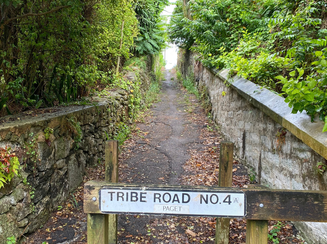 Elbow Beach Cycles-佩吉特教区必去景点
