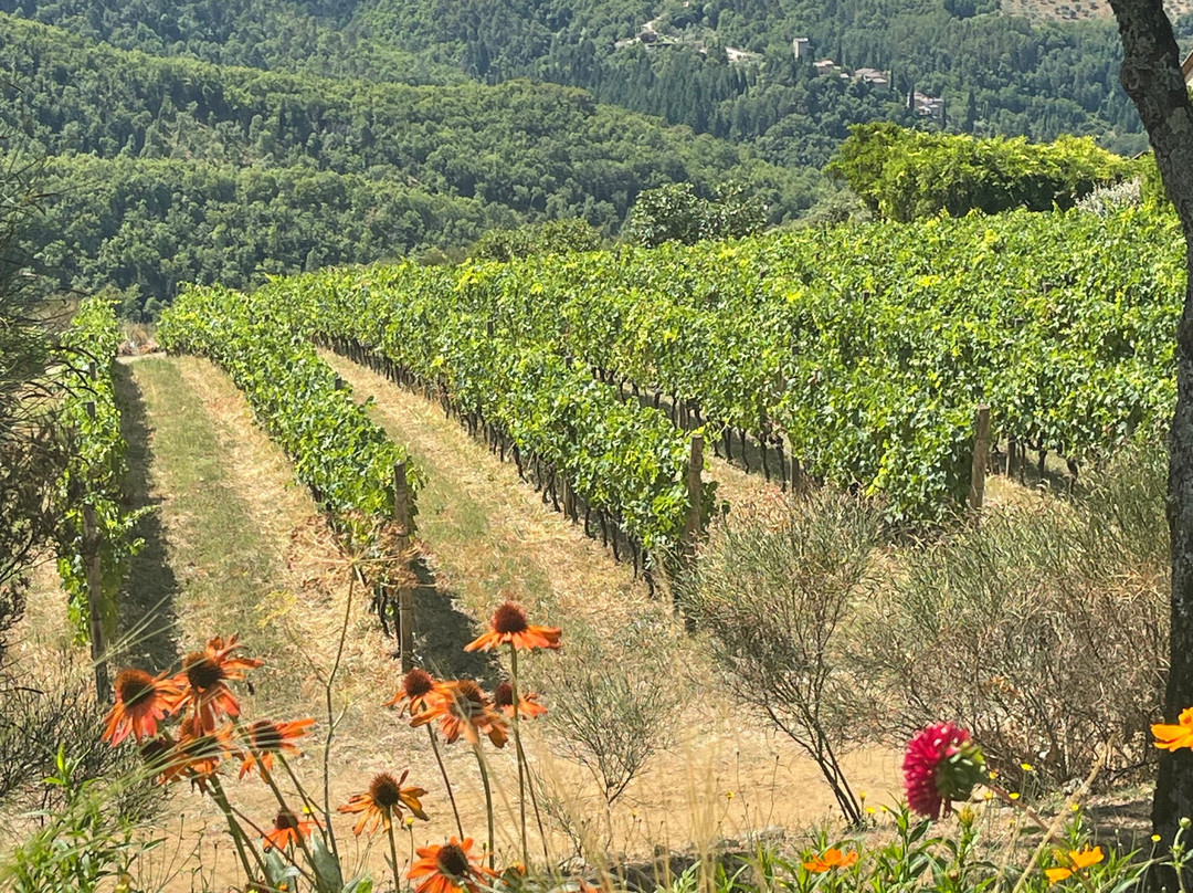 Podere Ciona-加约莱因基安蒂必去景点