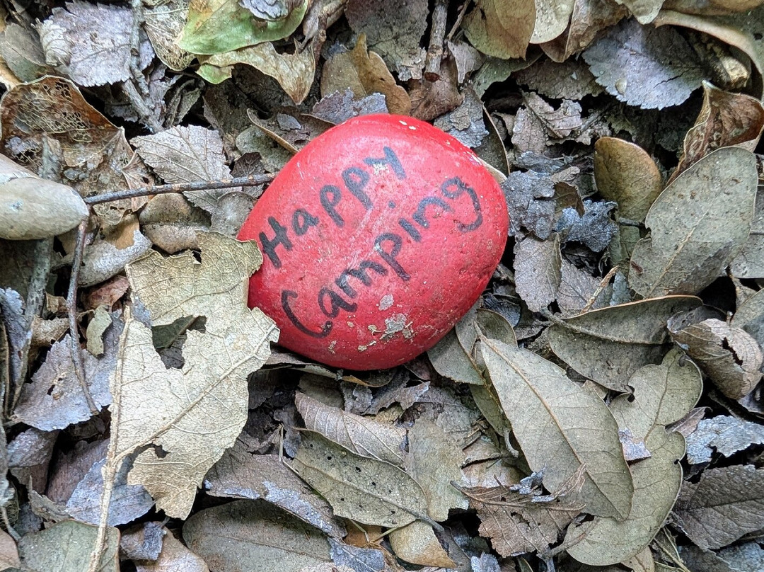 Lake Whitney State Park-Whitney必去景点