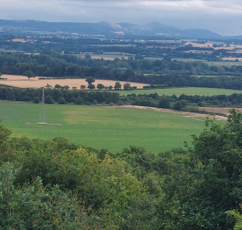 Haughmond Hill-什鲁斯伯里必去景点