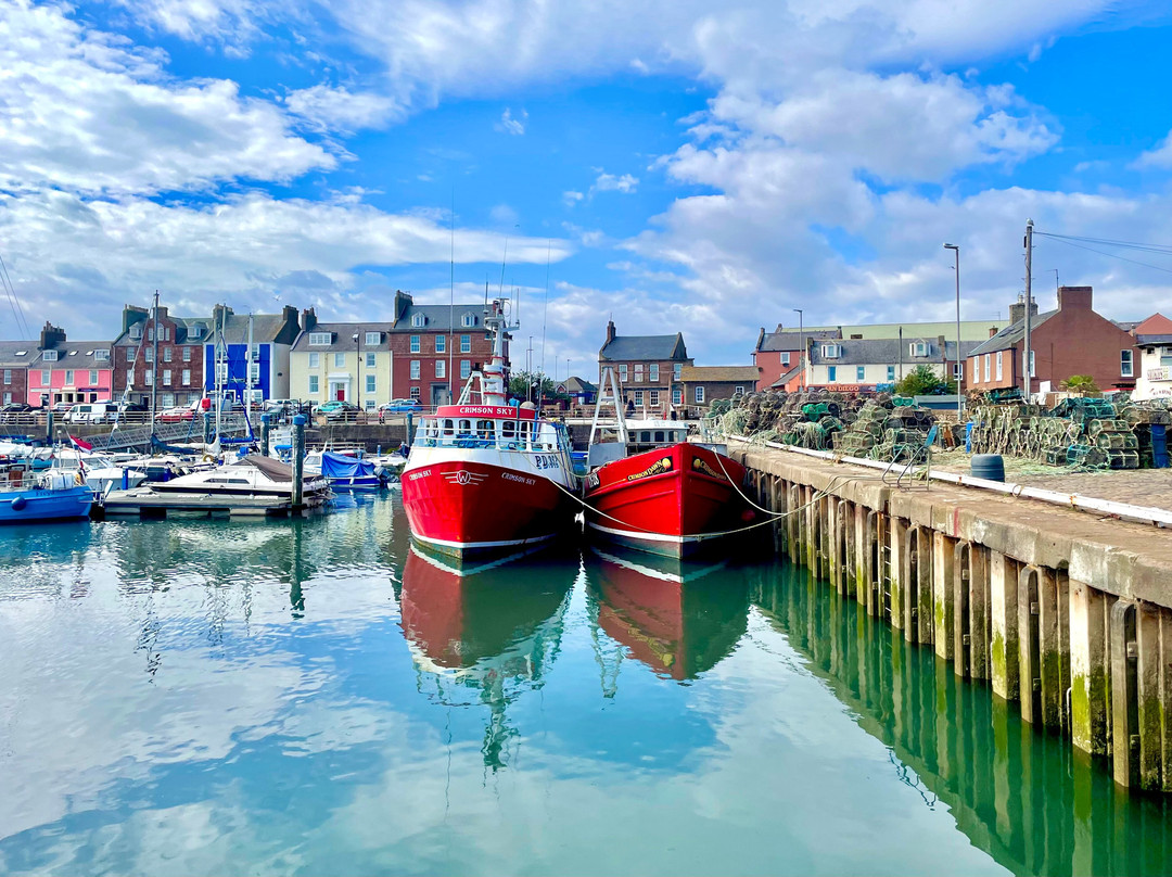 Arbroath Harbour-Arbroath必去景点