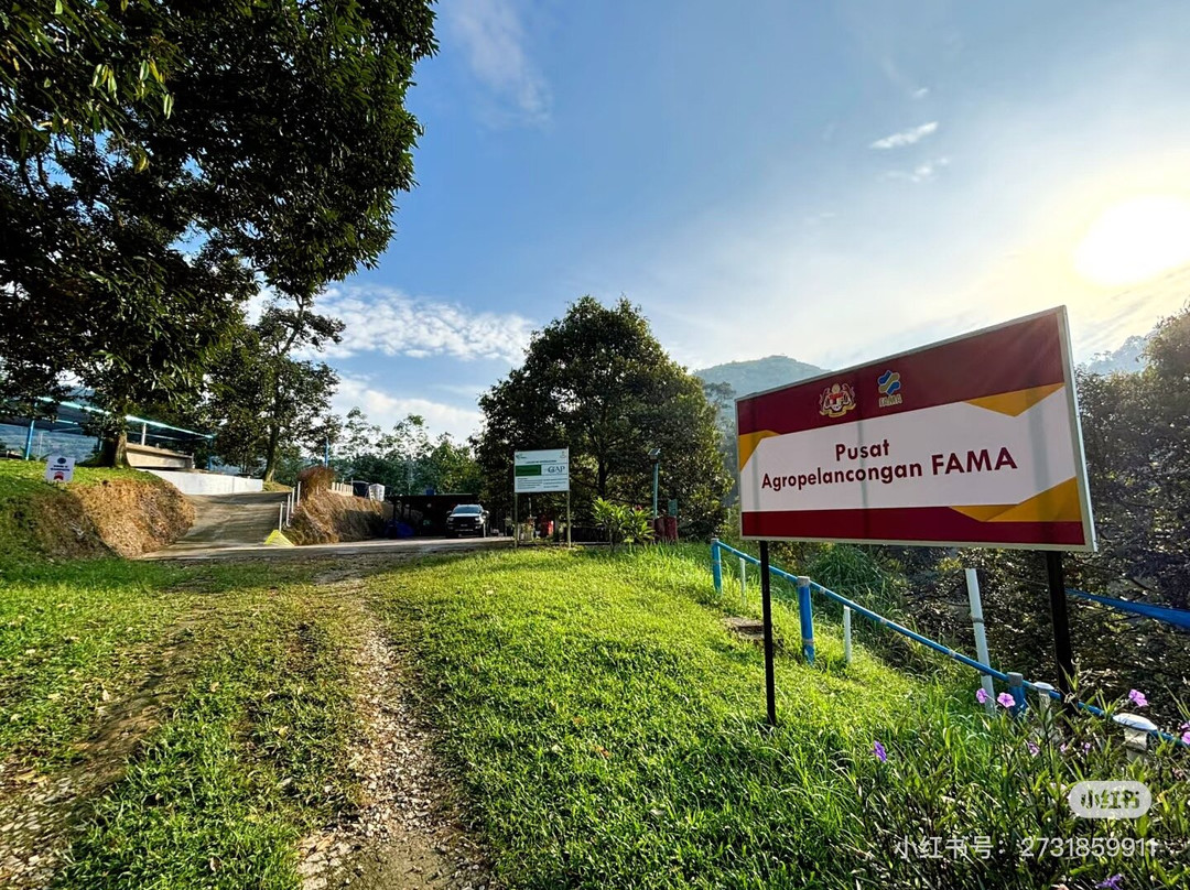 Glo Durian Farm & Camp-加叻必去景点