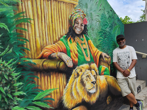 Jamaizing Tours and Transportation-蒙特戈贝必去景点