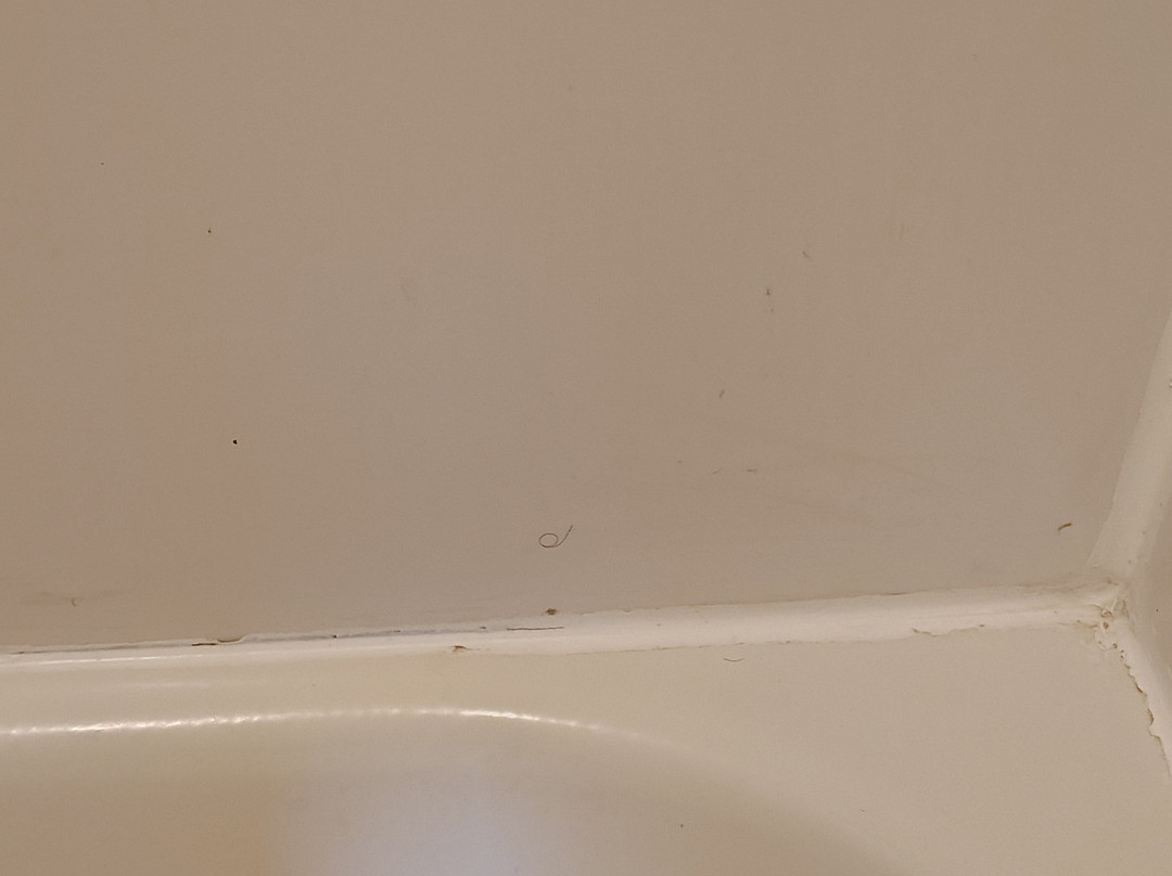 南荷兰温德姆速8酒店主图