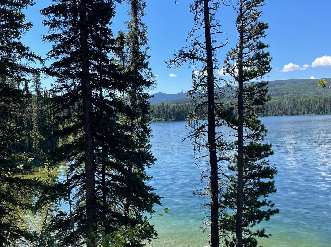 省立 William A. Switzer 公园-兴顿必去景点