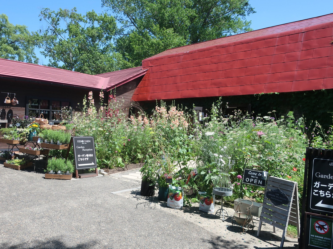 上野农场-旭川市必去景点