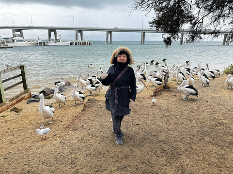 墨尔本中文小团精致游-墨尔本必去景点