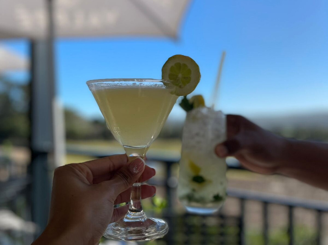 Bitou Vineyards-普利登堡湾必去景点