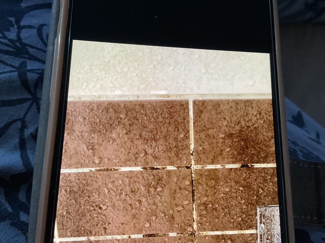 Glendower Hotel, BW Signature Collection主图