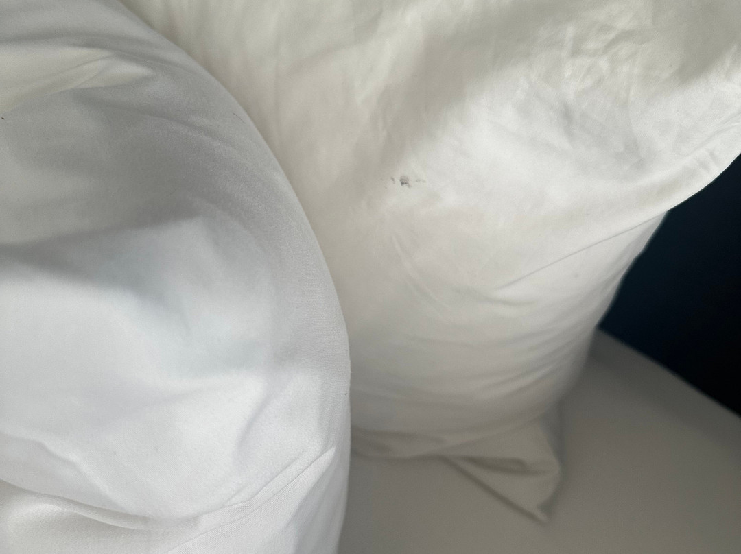 Holiday Inn Puebla Finsa by IHG主图