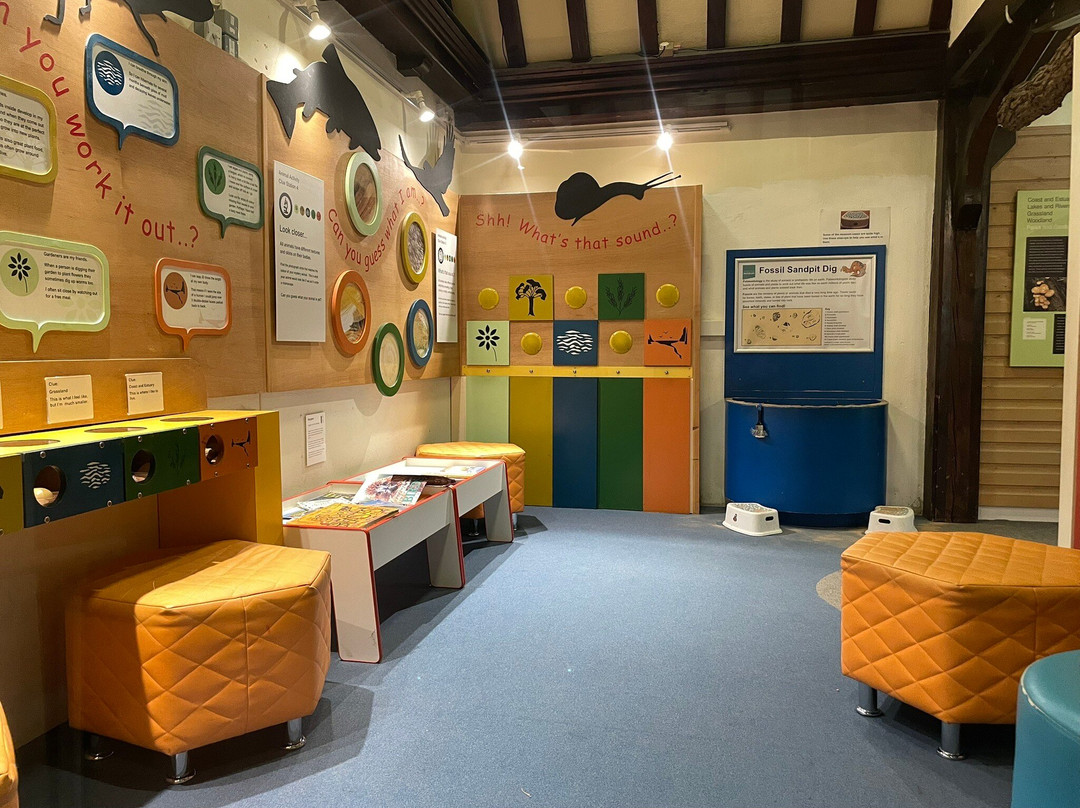 Maidstone Museum-梅德斯通必去景点