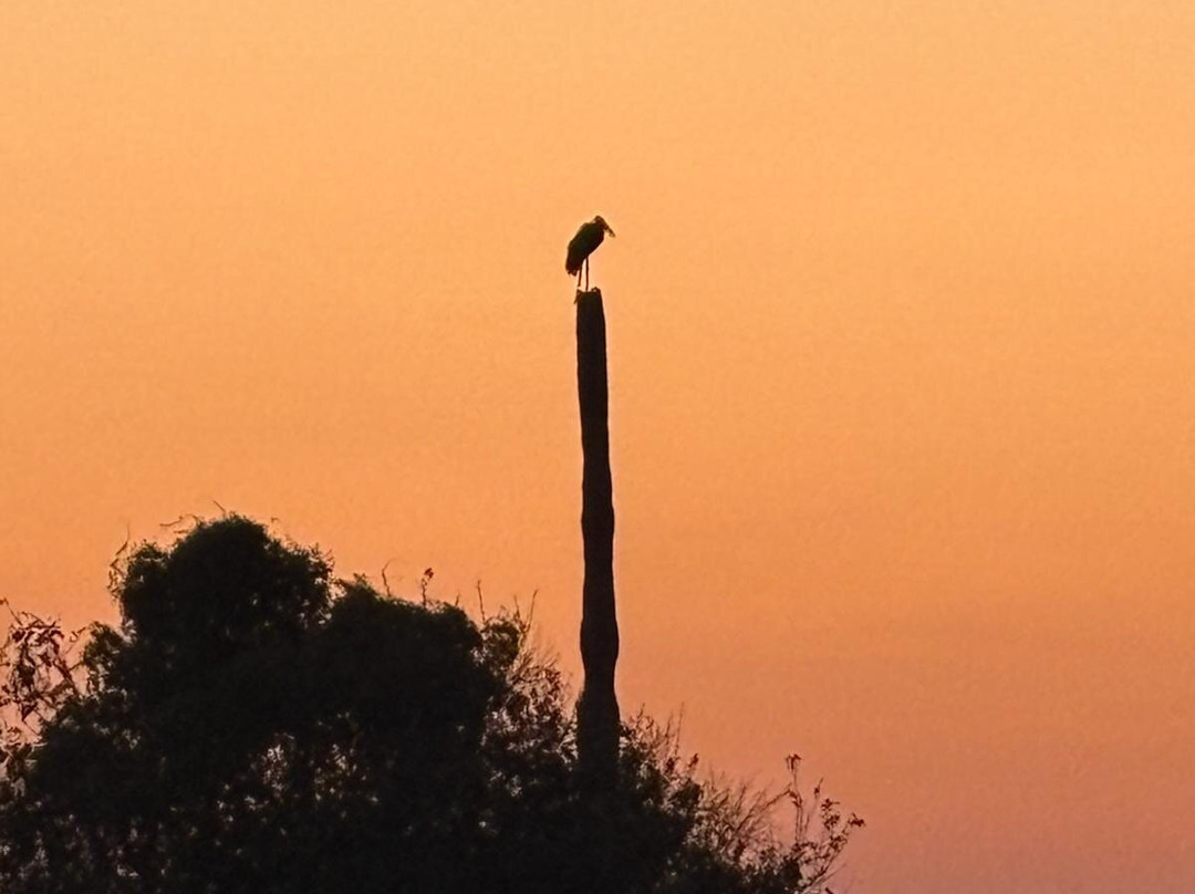 Cruize Wild Safaris-Iringa必去景点