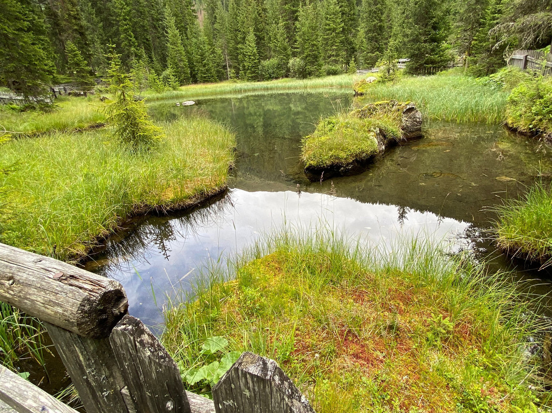 Die Kapelle Auf Der Oberstalleralm-Innervillgraten必去景点