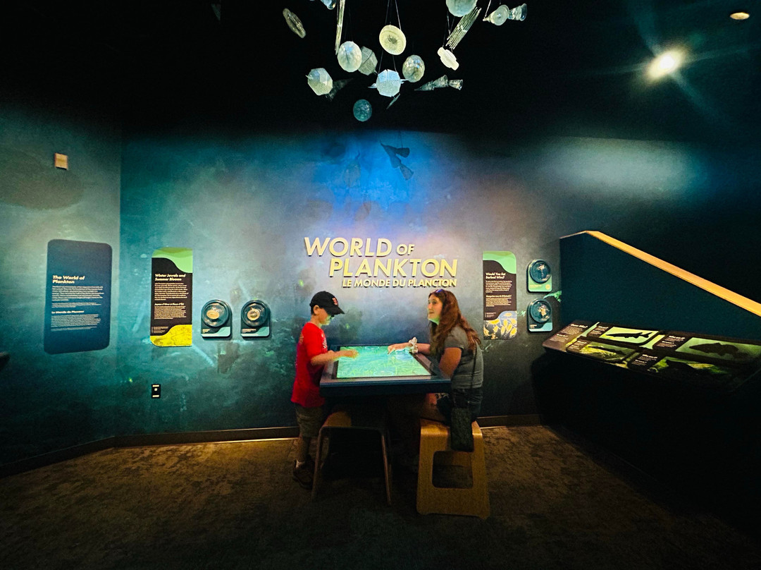 尚普兰湖回声莱希中心-伯灵顿必去景点