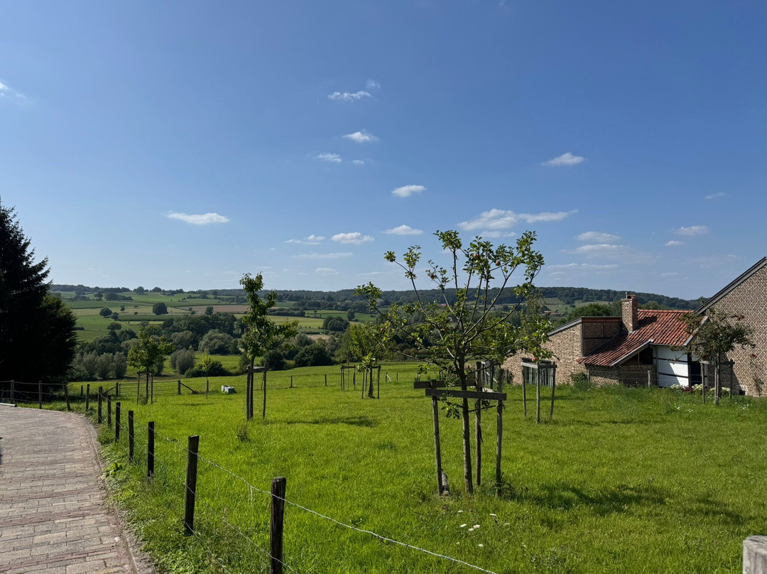 Cycle Center-法肯堡必去景点