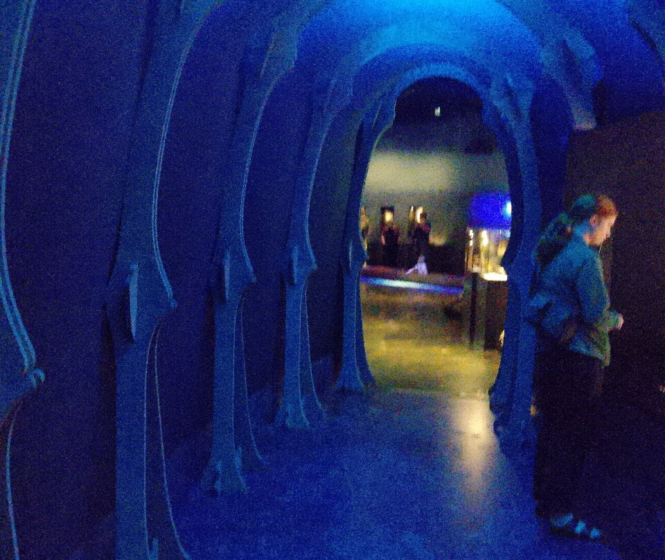 Moesgaard-欧胡斯必去景点