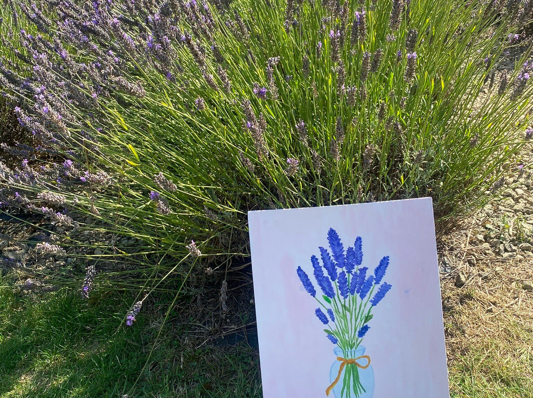 Yorkshire Lavender-Terrington必去景点