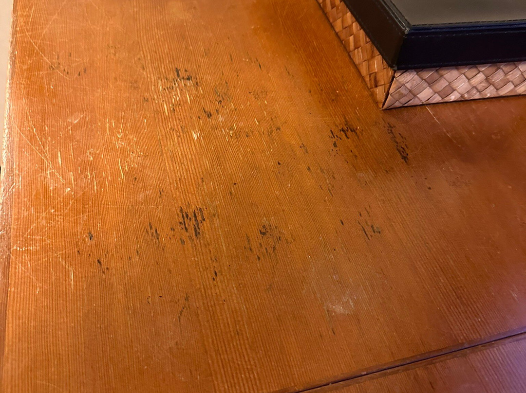 滨千鸟之汤 海舟主图