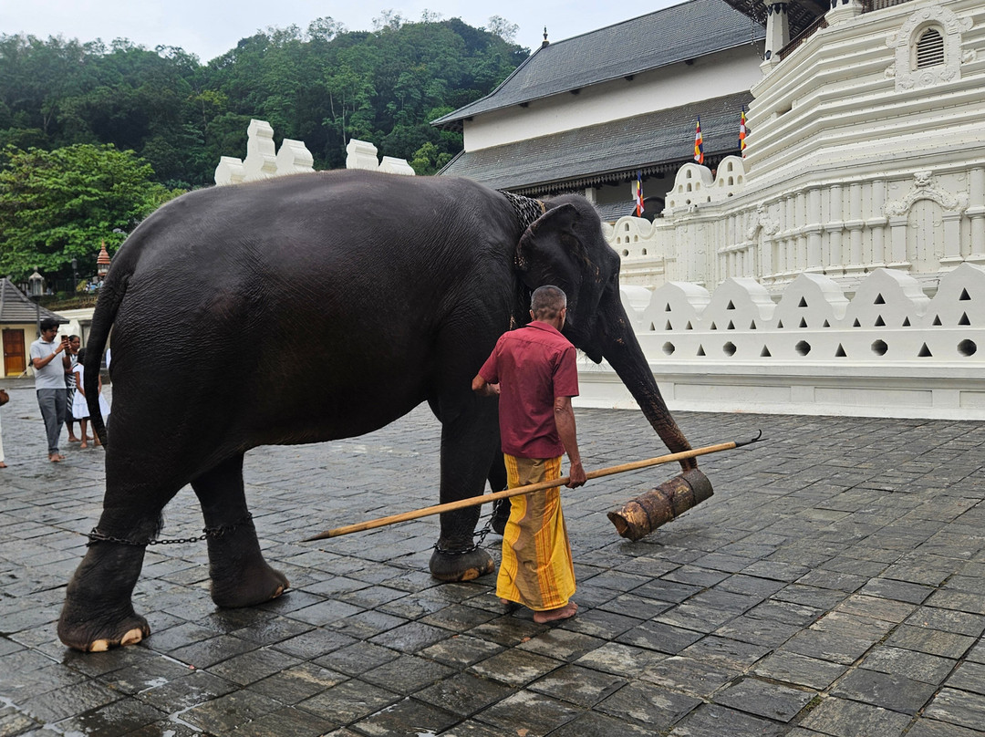 Holiday Travel Lanka-Wattala必去景点