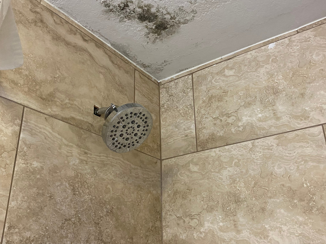 La Quinta Inn & Suites by Wyndham Prattville主图