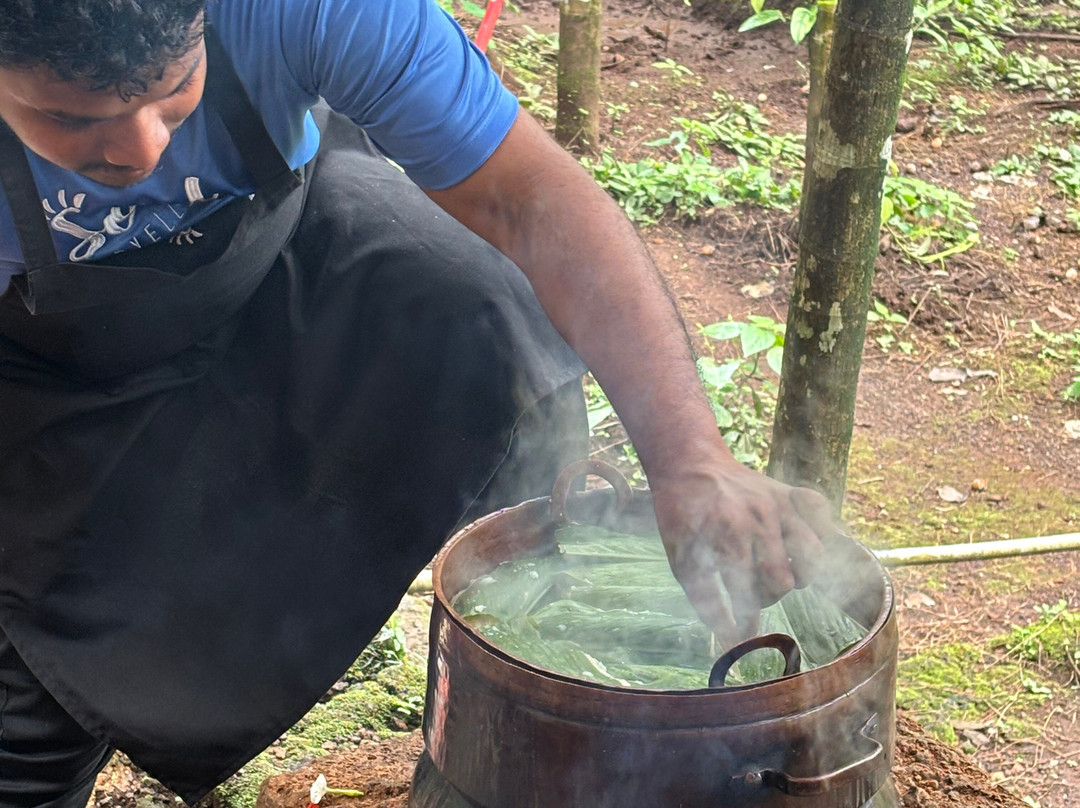 Soul Travelling-巴拿吉必去景点