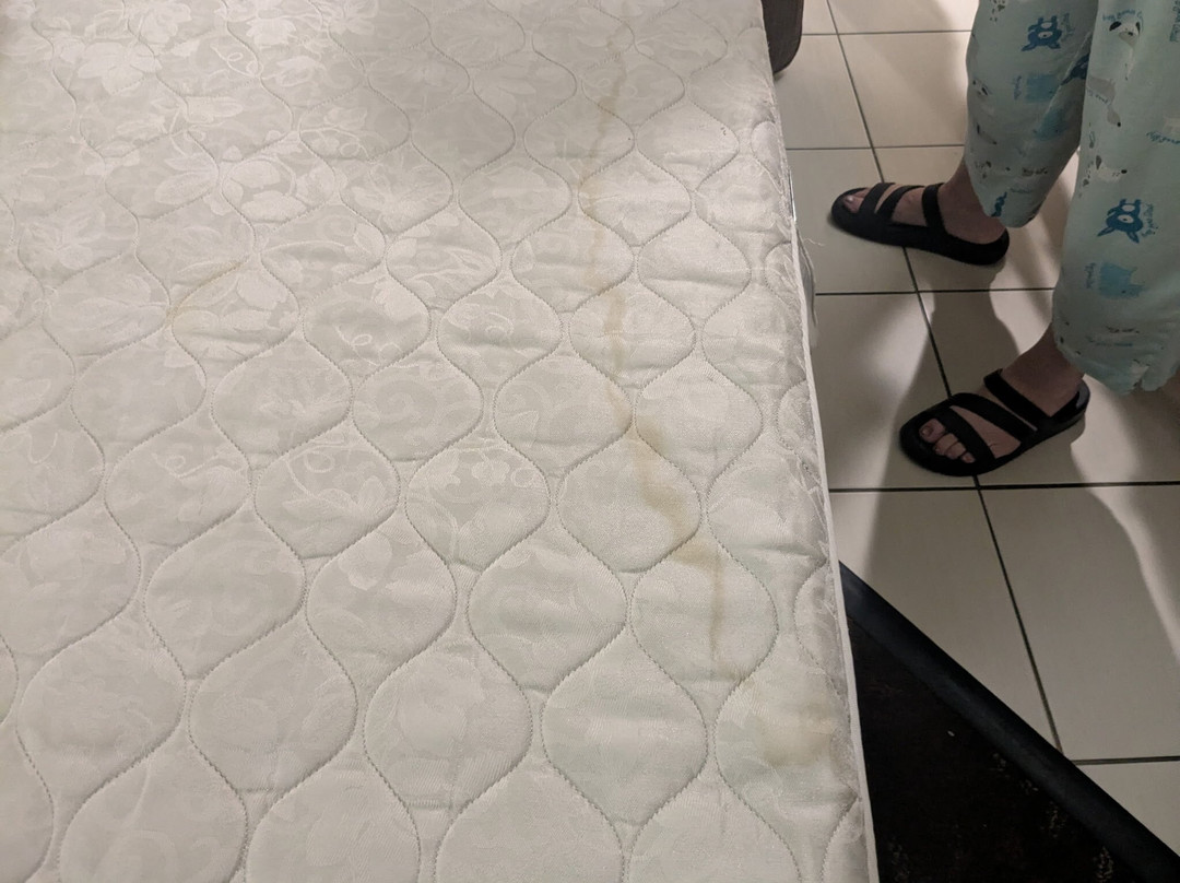 Holiday Inn Express & Suites Frankenmuth By IHG主图