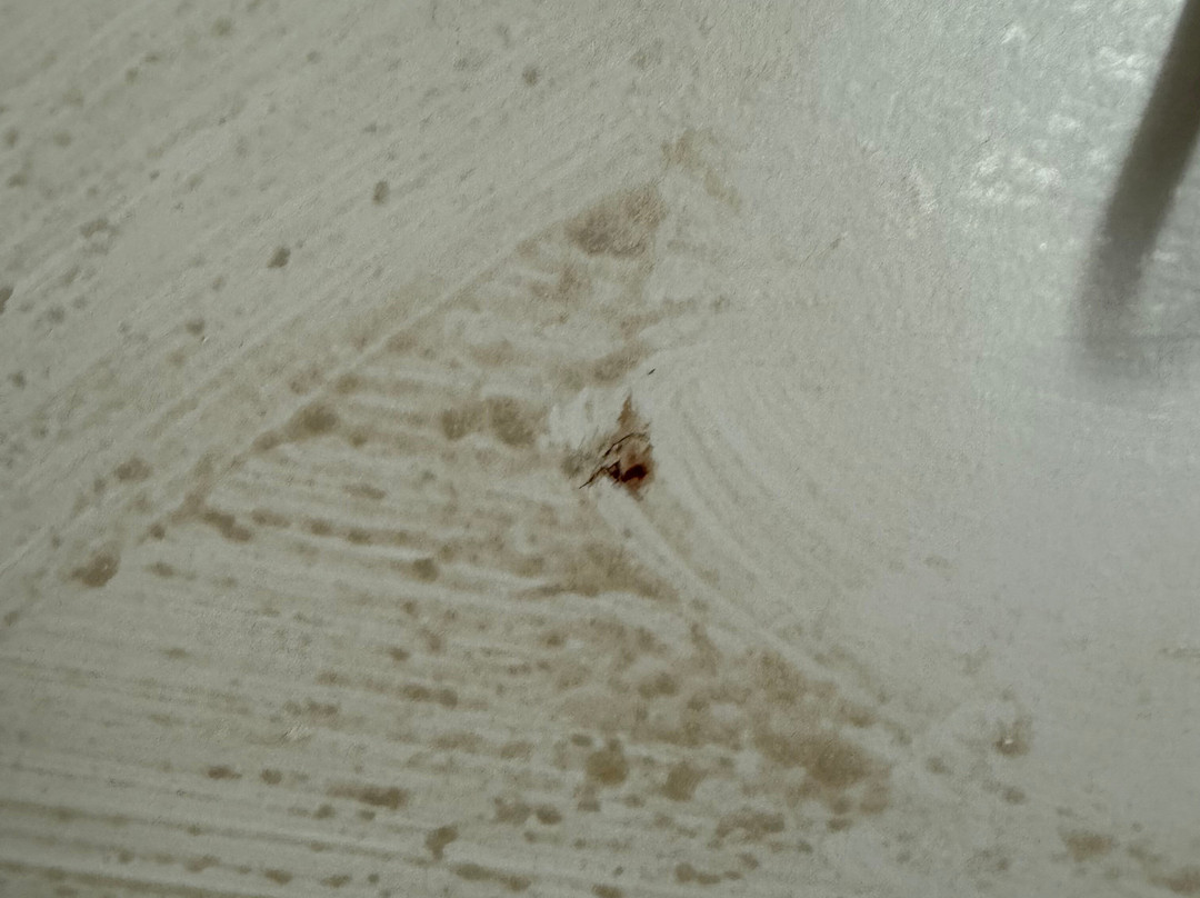 Hotel Mercurio主图