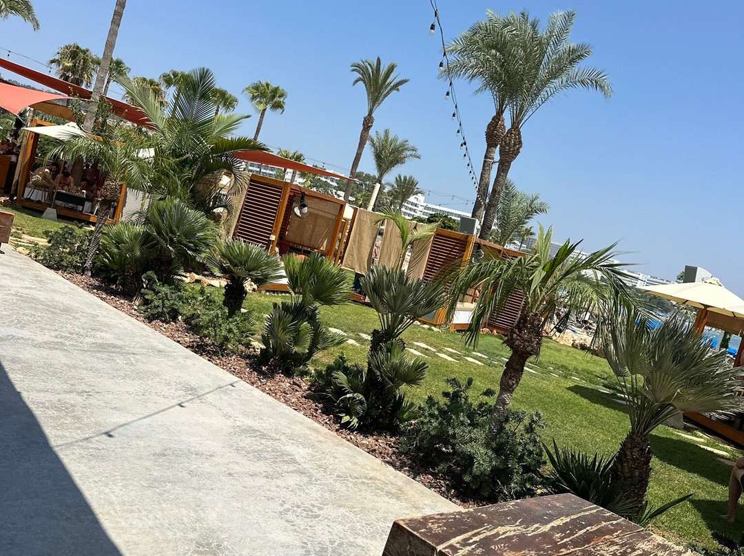 Paradisos Beach Bar-阿依纳帕必去景点